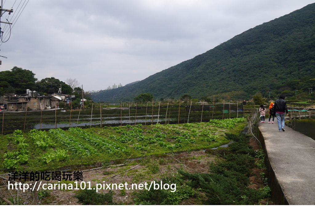 [新北。金山] 八煙聚落“水中央” 美麗的世外桃源加映野溪溫