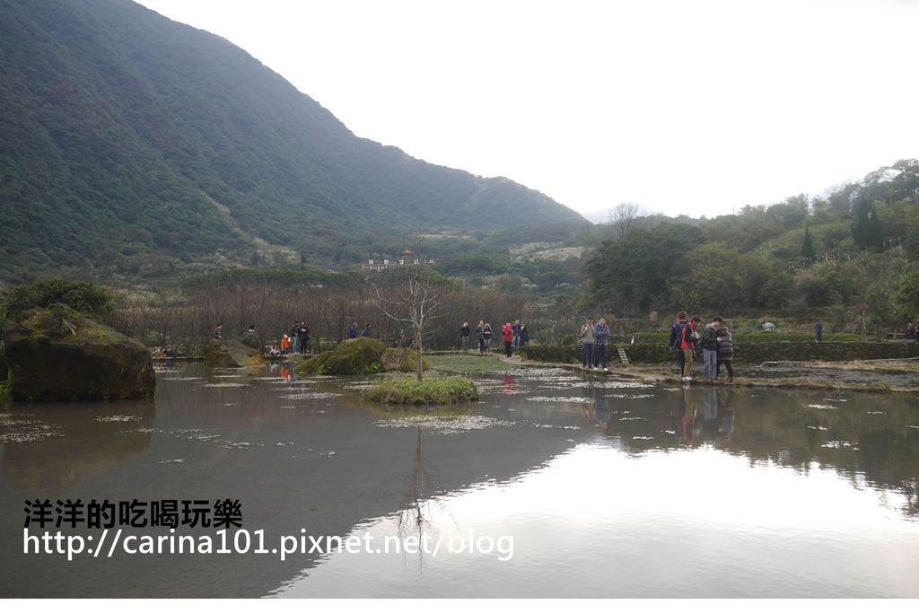 [新北。金山] 八煙聚落“水中央” 美麗的世外桃源加映野溪溫