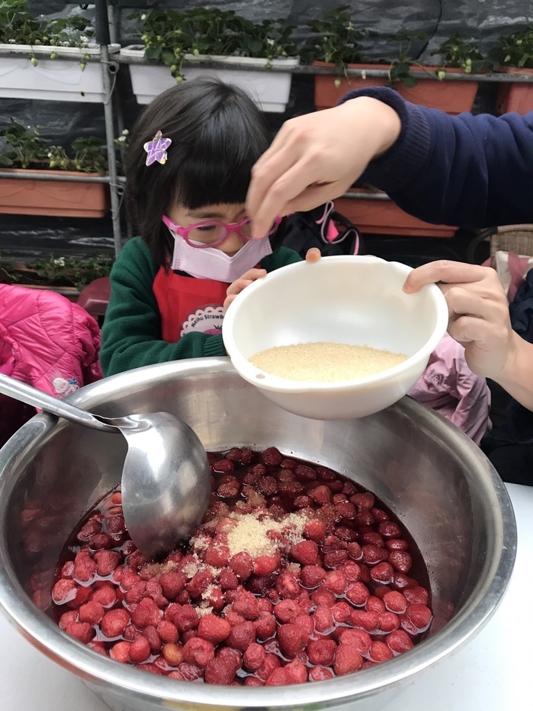 [台北。內湖] 什麼？採草莓不用去苗栗，台北就可以採草莓/內