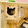 LINE_ALBUM_板橋 新埔 義饗世界_231211_37.jpg