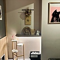 LINE_ALBUM_東區 貓吧_240202_25.jpg
