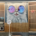 LINE_ALBUM_東區 貓吧_240202_22.jpg