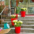 LINE_ALBUM_頂湖小鎮_240408_17.jpg