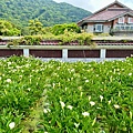 LINE_ALBUM_頂湖小鎮_240408_12.jpg