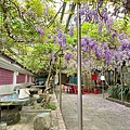 LINE_ALBUM_頂湖小鎮_240408_16.jpg