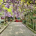 LINE_ALBUM_頂湖小鎮_240408_15.jpg