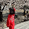釜山櫻花 (5).jpg