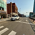 釜山櫻花 (7).jpg