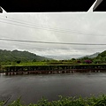 貓空光羽塩 Lytea (4).jpg