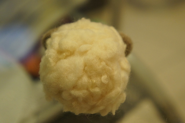 DSC00959_調整大小.JPG DSC00959_調整大小.JPG
