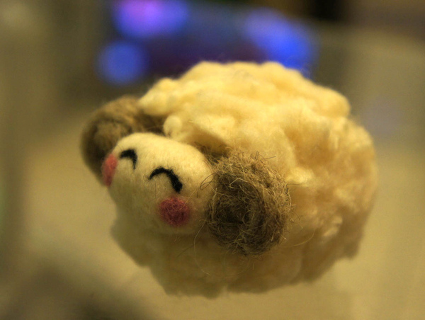 DSC00953_調整大小.JPG DSC00953_調整大小.JPG