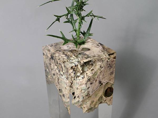 Floating-Karst-Vase-2020-9