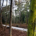 _MG_0684.jpg