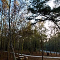 _MG_0705.jpg