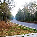 _MG_0714.jpg