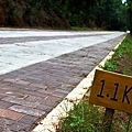 _MG_9583.jpg