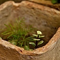_MG_9818.jpg