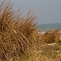 _MG_9820.jpg