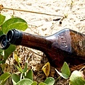 _MG_9821.jpg