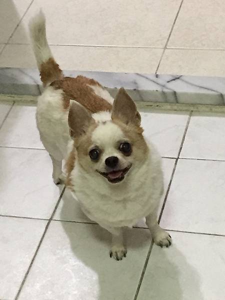 IMG_4655.JPG IMG_4655.JPG