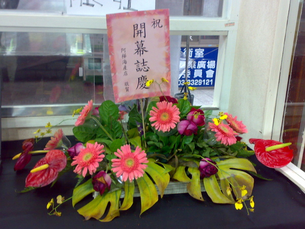 20081225146.jpg 20081225146.jpg
