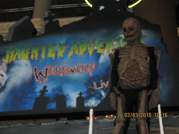 IMG_2706.jpg IMG_2706.jpg