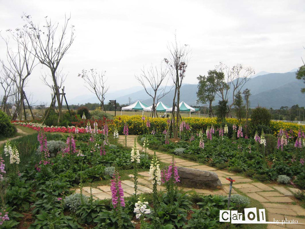 漂亮的花園