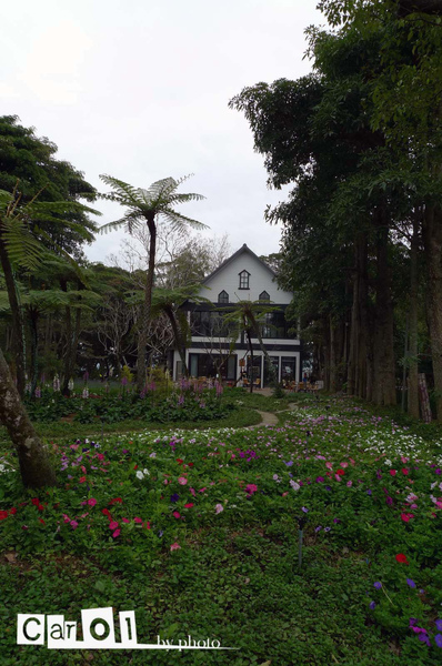 香草屋的花園