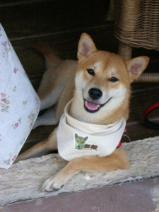 DSCN4229 - 複製.JPG DSCN4229 - 複製.JPG