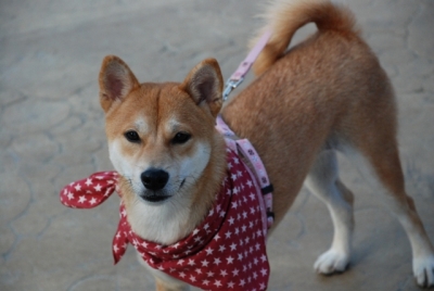 照片 108.jpg 照片 108.jpg