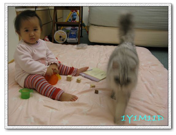 1Y1M11D-02 1Y1M11D-02