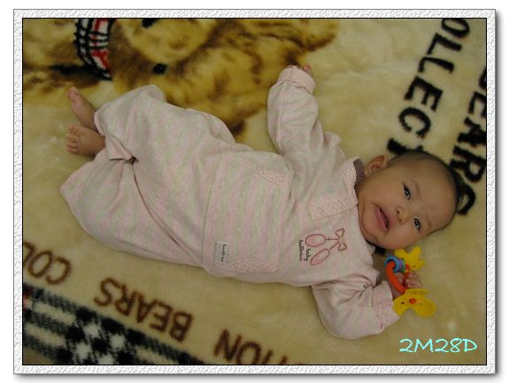 2M28D-17.jpg 2M28D-17.jpg