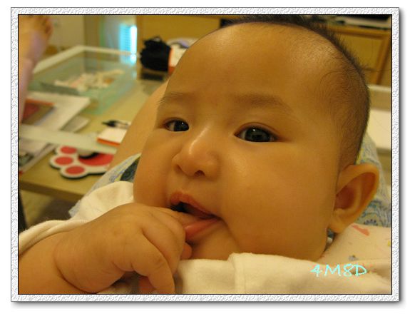 4M08D-21.jpg 4M08D-21.jpg