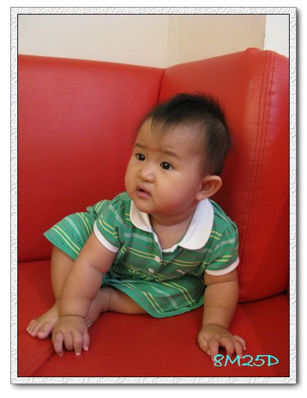 8M25D-04.jpg 8M25D-04.jpg