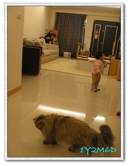 1Y2M06D-08.jpg 1Y2M06D-08.jpg
