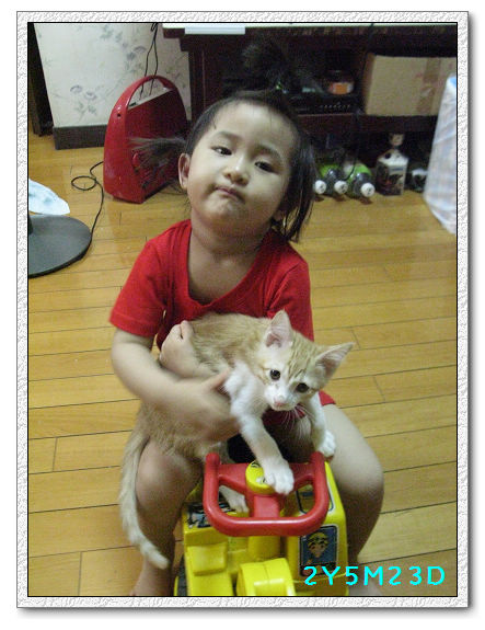 2Y05M23D-抱貓01.jpg 2Y05M23D-抱貓01.jpg