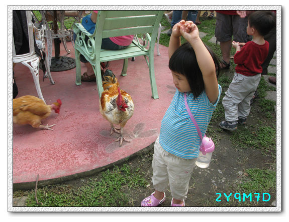 2Y09M07D-宜蘭農場02.jpg 2Y09M07D-宜蘭農場02.jpg