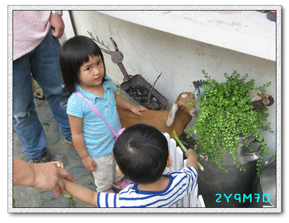 2Y09M07D-宜蘭農場07.jpg 2Y09M07D-宜蘭農場07.jpg