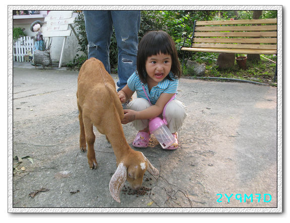 2Y09M07D-宜蘭農場13.jpg 2Y09M07D-宜蘭農場13.jpg