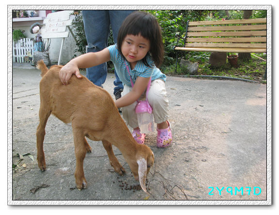 2Y09M07D-宜蘭農場16.jpg 2Y09M07D-宜蘭農場16.jpg