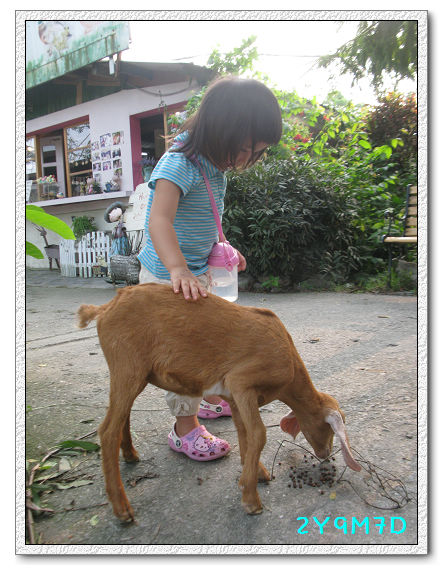 2Y09M07D-宜蘭農場20.jpg 2Y09M07D-宜蘭農場20.jpg