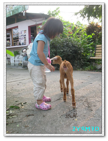 2Y09M07D-宜蘭農場22.jpg 2Y09M07D-宜蘭農場22.jpg