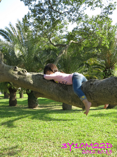 3Y10M22D-2花博公園-01 3Y10M22D-2花博公園-01