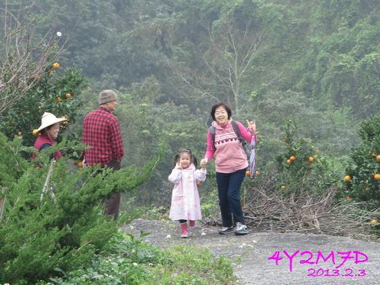 4Y02M07D-苗栗採果-01.jpg 4Y02M07D-苗栗採果-01.jpg