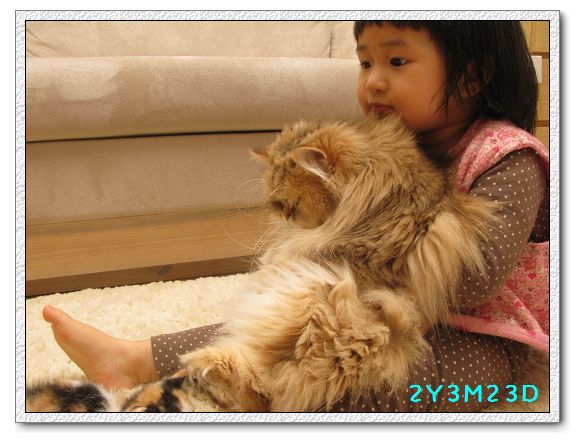 2Y03M23D-小貓06.jpg 2Y03M23D-小貓06.jpg