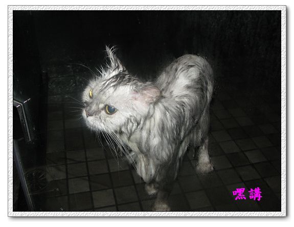 1Y2M14D嘿講洗澡-01.jpg 1Y2M14D嘿講洗澡-01.jpg