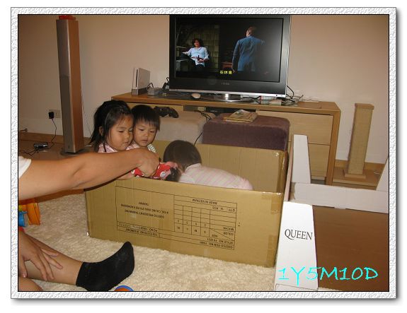 1Y5M10D-1.jpg 1Y5M10D-1.jpg