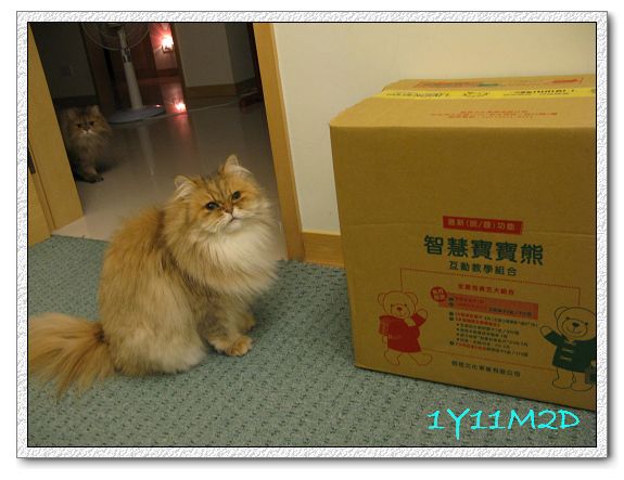 1Y11M02D-05寶寶熊開箱.jpg 1Y11M02D-05寶寶熊開箱.jpg