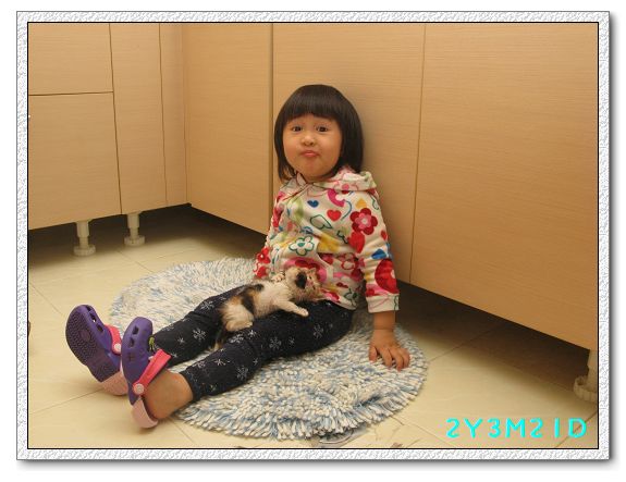 2Y03M21D-小貓01.jpg 2Y03M21D-小貓01.jpg
