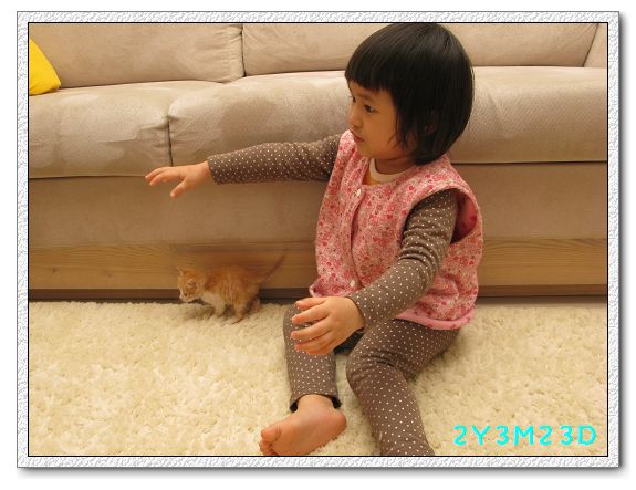 2Y03M23D-小貓01.jpg 2Y03M23D-小貓01.jpg